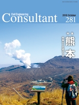 Consultant281