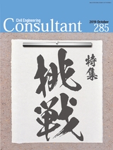 Consultant285