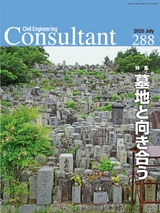 Consultant288