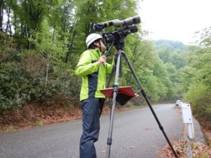 猛きん類調査のようす　　写真提供：建設技術研究所