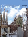 Consultant265