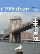 Consultant266号