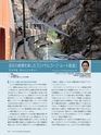 Consultant266号