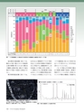 Consultant266号