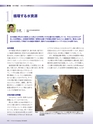 Consultant267号