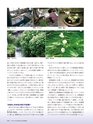 Consultant267号