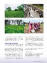 Consultant267号