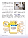 Consultant267号