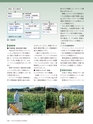 Consultant267号