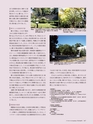 Consultant267号