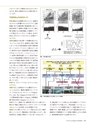 Consultant267号