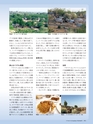 Consultant267号