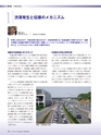 Consultant268号