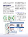Consultant268号