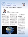 Consultant268号