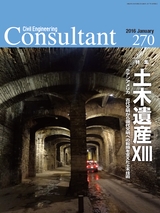 Consultant270