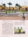 Consultant270