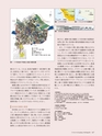 Consultant270