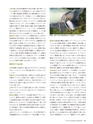 Consultant270