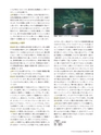 Consultant270