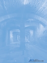 Consultant270