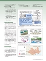 Consultant271