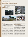 Consultant271