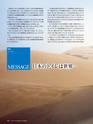 Consultant271