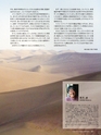 Consultant271