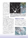 Consultant273