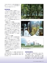 Consultant273