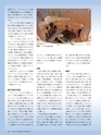 Consultant273