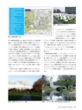 Consultant274