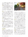 Consultant274