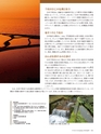 Consultant275