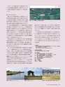 Consultant275