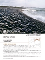Consultant280