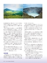 Consultant281