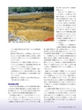 Consultant281