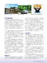 Consultant281