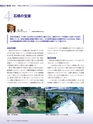 Consultant281