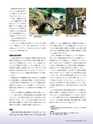 Consultant281