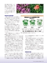 Consultant281