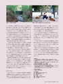 Consultant281
