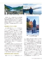 Consultant281
