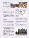 Consultant282
