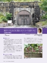 Consultant282