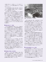 Consultant282