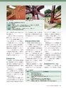 Consultant282