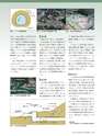 Consultant282
